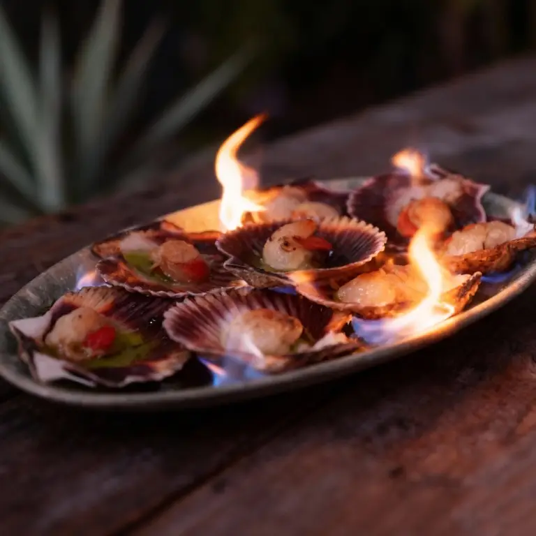 Sesión de fotos gastronómica profesional para sistema QR - Ejemplo 2